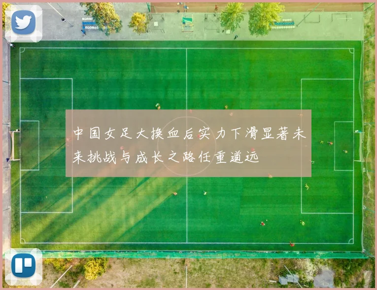 中国女足大换血后实力下滑显著未来挑战与成长之路任重道远