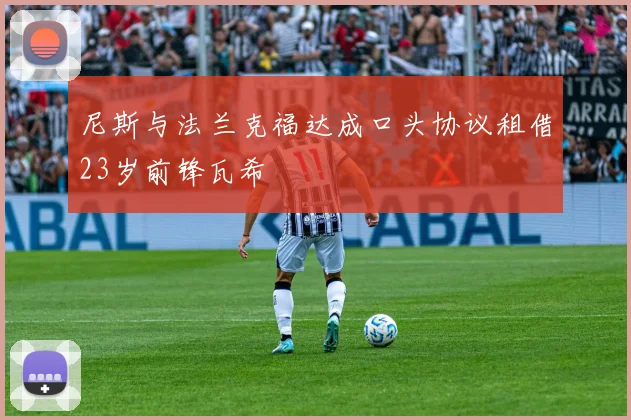 尼斯与法兰克福达成口头协议租借23岁前锋瓦希